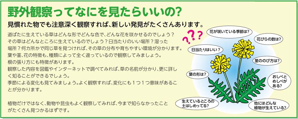 https://matsushita-bungu.co.jp/kyouzai/blog/udata/002-218-2.jpg