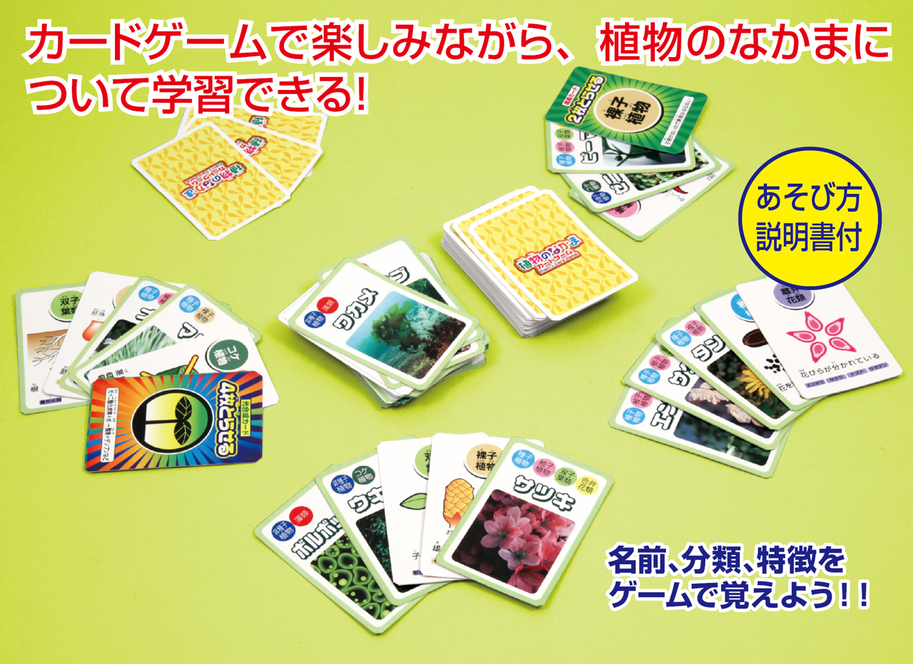 https://matsushita-bungu.co.jp/kyouzai/blog/udata/008-839-1.jpg