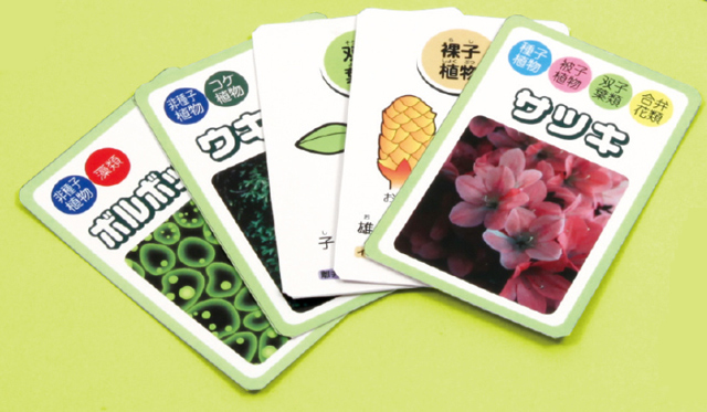 https://matsushita-bungu.co.jp/kyouzai/blog/udata/008-839-2.jpg