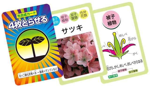 https://matsushita-bungu.co.jp/kyouzai/blog/udata/008-839-5.jpg