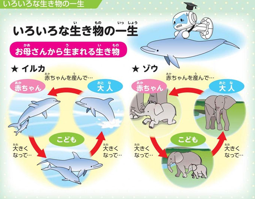 https://matsushita-bungu.co.jp/kyouzai/blog/udata/055715-2.jpg