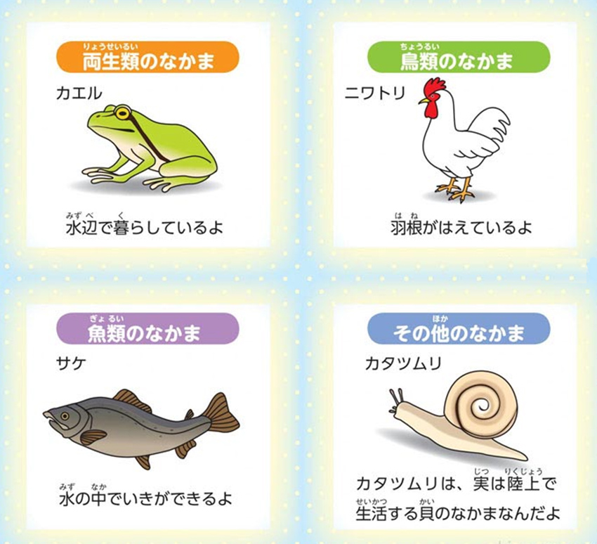 https://matsushita-bungu.co.jp/kyouzai/blog/udata/055715-3.jpg