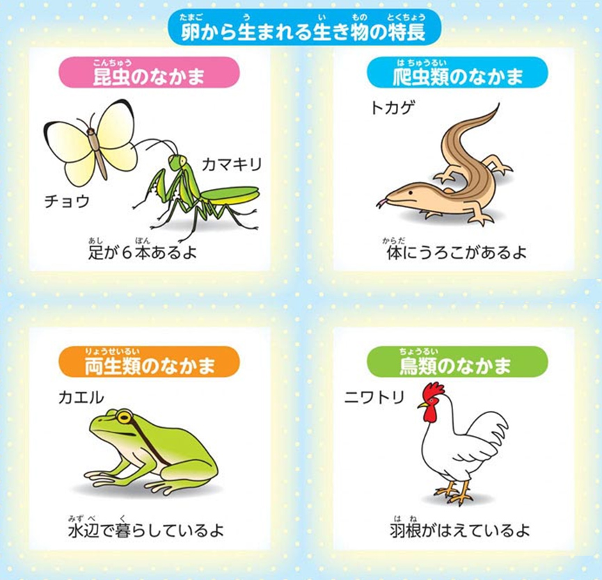 https://matsushita-bungu.co.jp/kyouzai/blog/udata/055715-4.jpg