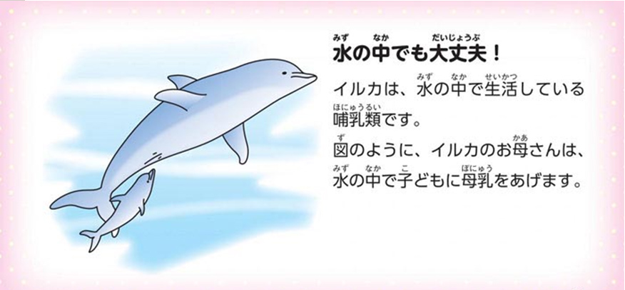 https://matsushita-bungu.co.jp/kyouzai/blog/udata/055715-5.jpg