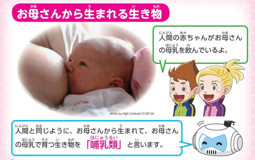 https://matsushita-bungu.co.jp/kyouzai/blog/udata/055715-6.jpg