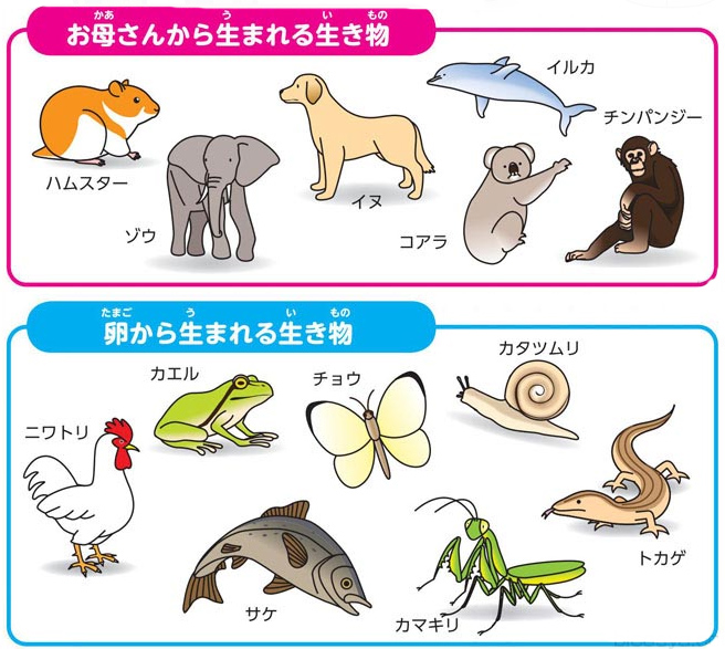 https://matsushita-bungu.co.jp/kyouzai/blog/udata/055715-7.jpg