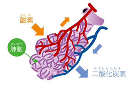 https://matsushita-bungu.co.jp/kyouzai/blog/udata/055732-111.jpg