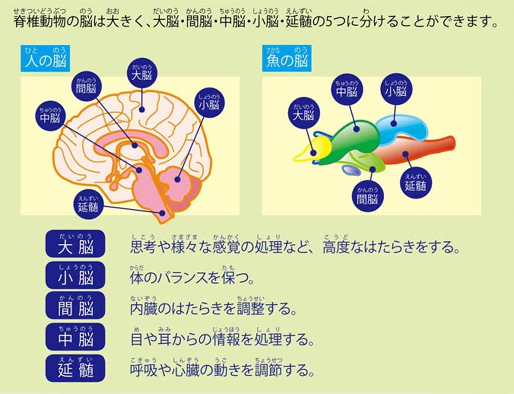 https://matsushita-bungu.co.jp/kyouzai/blog/udata/055732-222.jpg