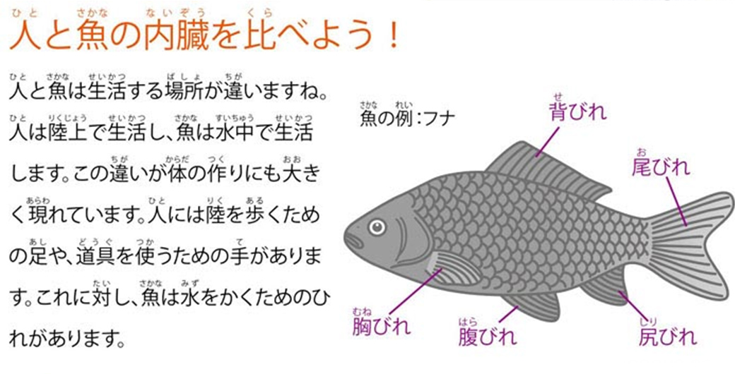 https://matsushita-bungu.co.jp/kyouzai/blog/udata/055732-555.jpg