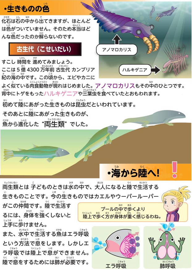 https://matsushita-bungu.co.jp/kyouzai/blog/udata/055751-1.jpg