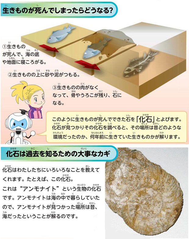 https://matsushita-bungu.co.jp/kyouzai/blog/udata/055751-4.jpg