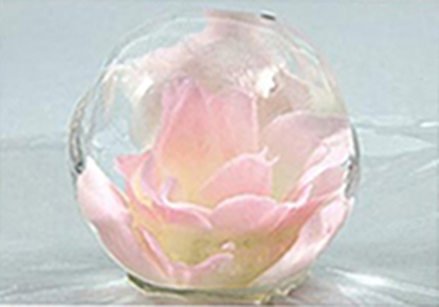 https://matsushita-bungu.co.jp/kyouzai/blog/udata/055781-44444.jpg