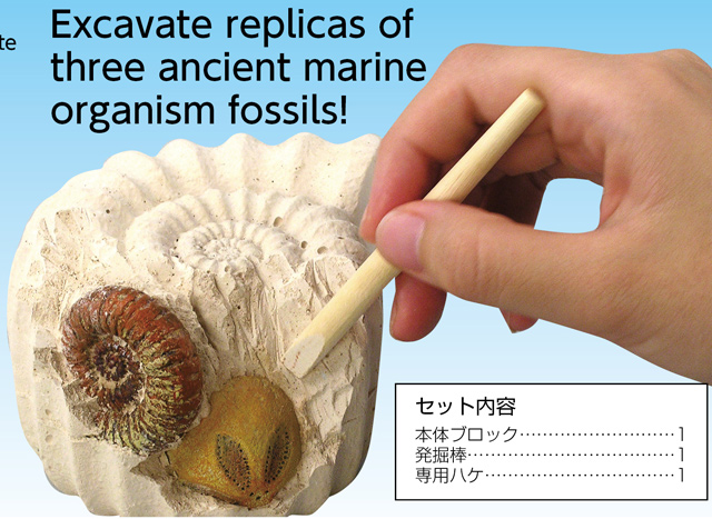 https://matsushita-bungu.co.jp/kyouzai/blog/udata/056-818-2.jpg