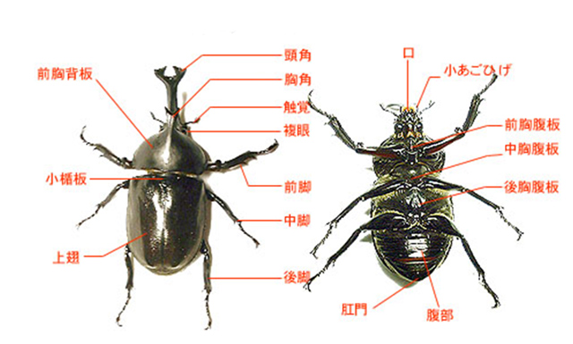 https://matsushita-bungu.co.jp/kyouzai/blog/udata/094-707-6.jpg