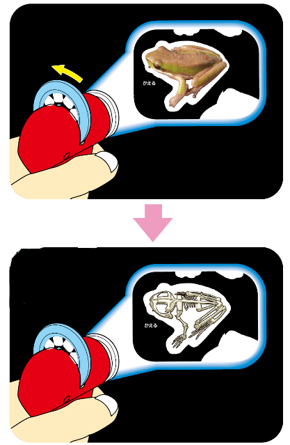 https://matsushita-bungu.co.jp/kyouzai/blog/udata/094-879-2.jpg