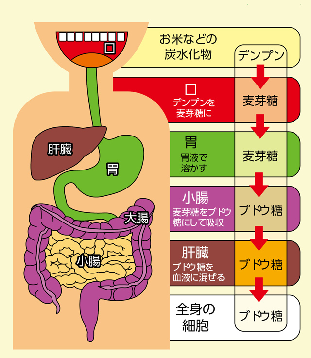 https://matsushita-bungu.co.jp/kyouzai/blog/udata/111-1.jpg
