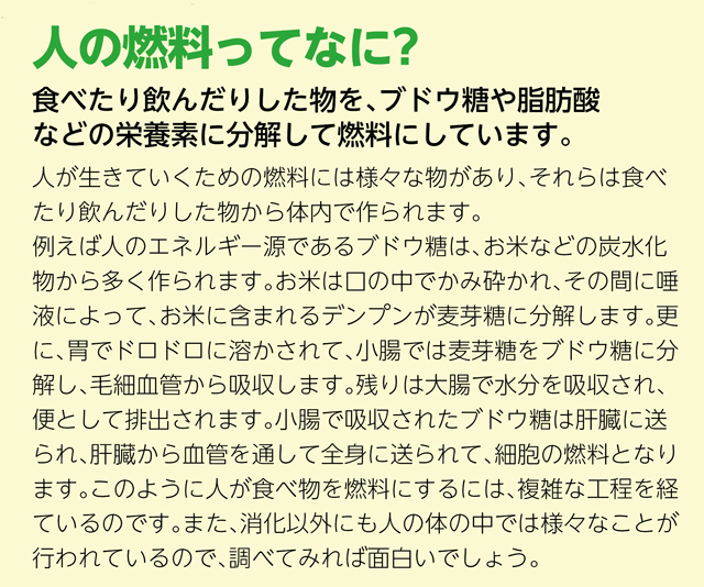 https://matsushita-bungu.co.jp/kyouzai/blog/udata/111-2.jpg