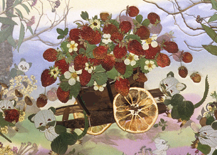 https://matsushita-bungu.co.jp/kyouzai/blog/udata/20090401.jpg