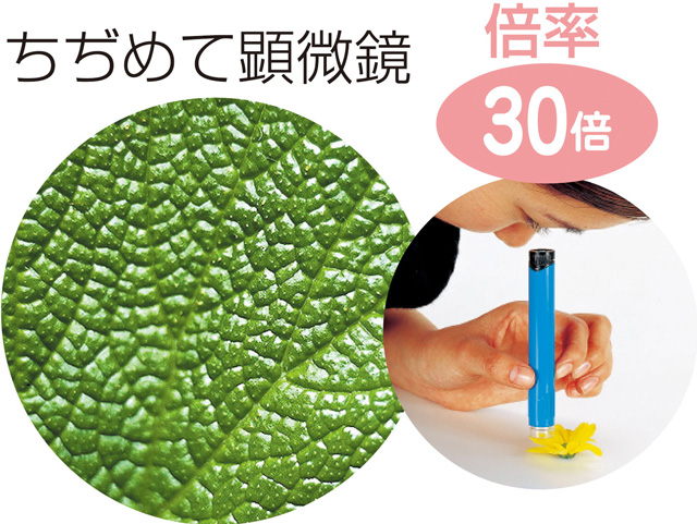 https://matsushita-bungu.co.jp/kyouzai/blog/udata/2648d.jpg