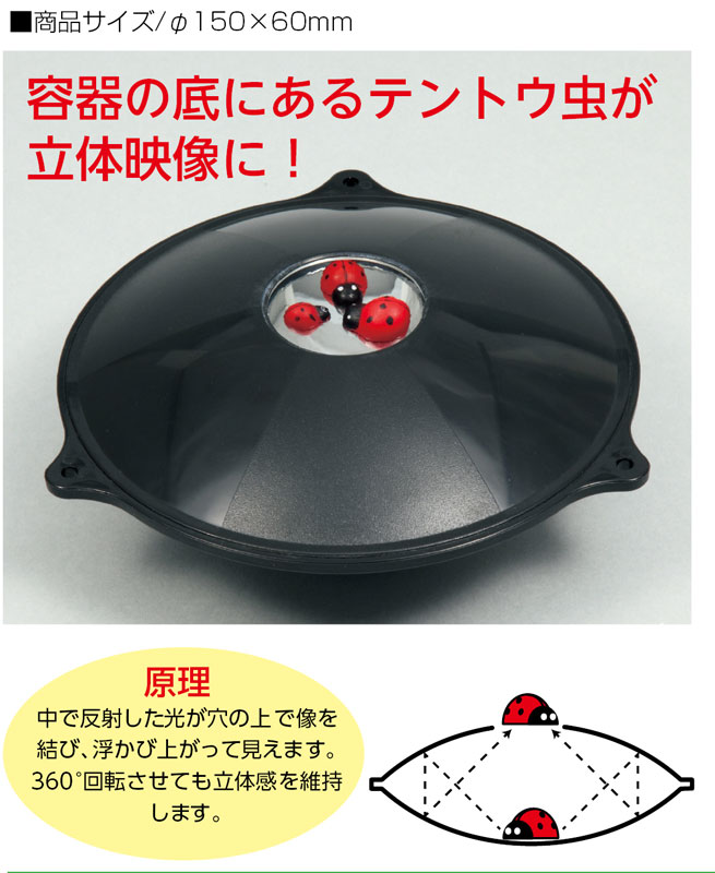 https://matsushita-bungu.co.jp/kyouzai/blog/udata/3d.jpg