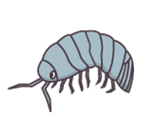 https://matsushita-bungu.co.jp/kyouzai/blog/udata/55714-100.jpg