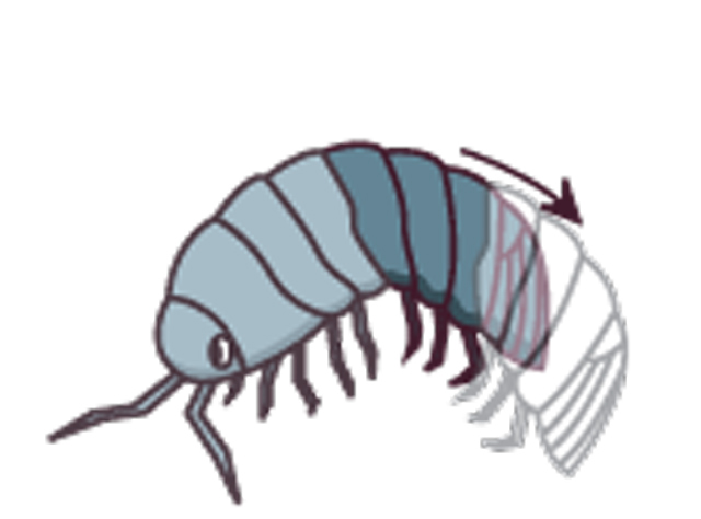 https://matsushita-bungu.co.jp/kyouzai/blog/udata/55714-101.jpg