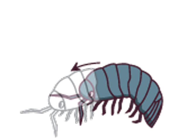 https://matsushita-bungu.co.jp/kyouzai/blog/udata/55714-102.jpg