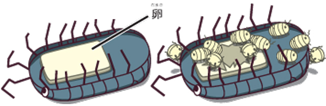 https://matsushita-bungu.co.jp/kyouzai/blog/udata/55714-104.jpg