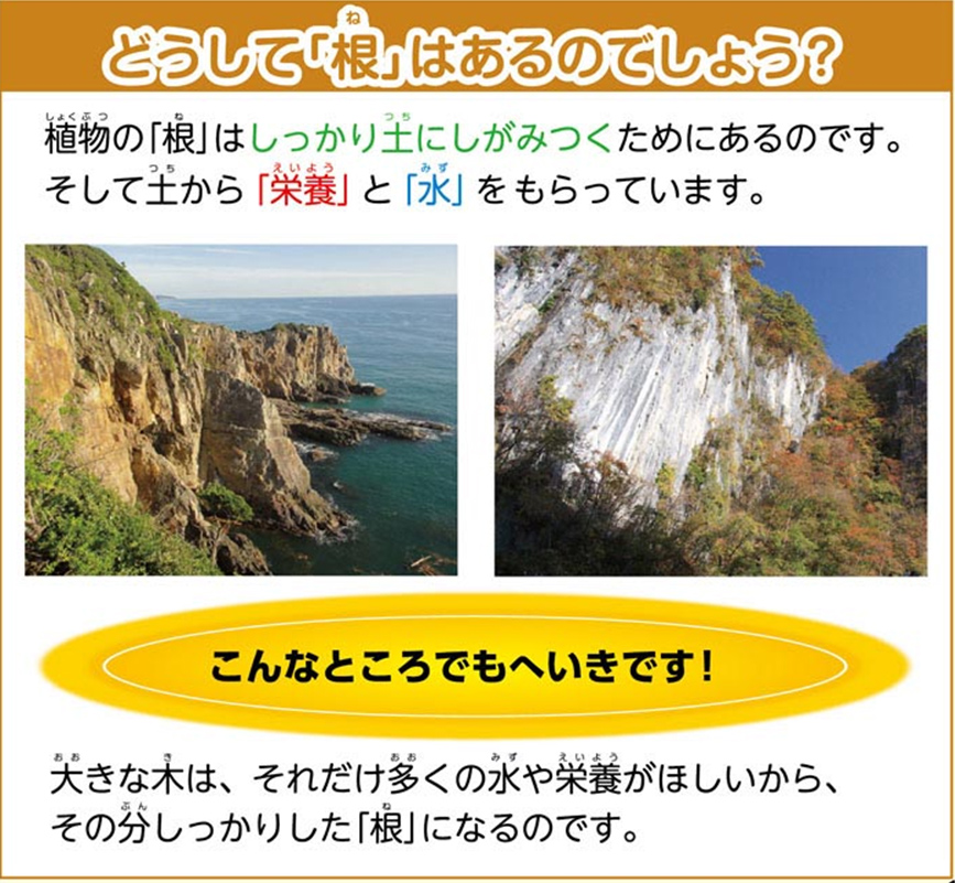 https://matsushita-bungu.co.jp/kyouzai/blog/udata/55720-10.jpg