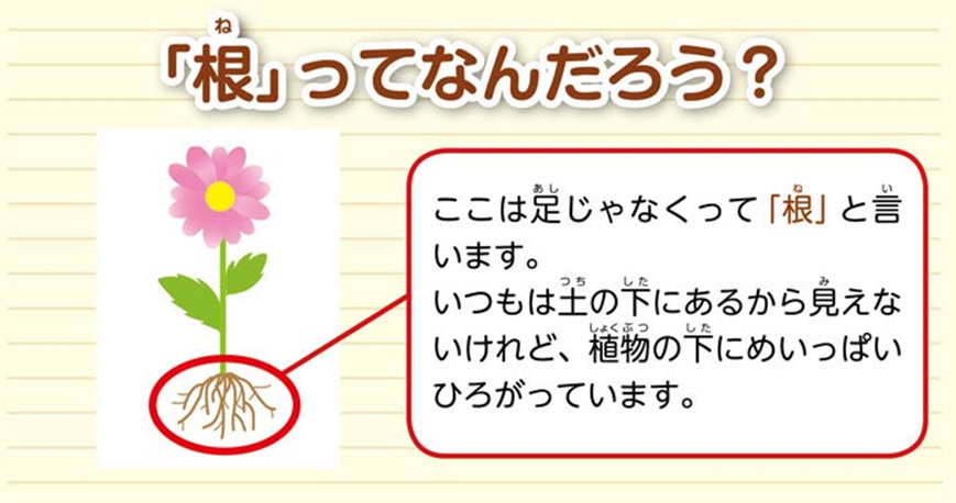https://matsushita-bungu.co.jp/kyouzai/blog/udata/55720-11.jpg