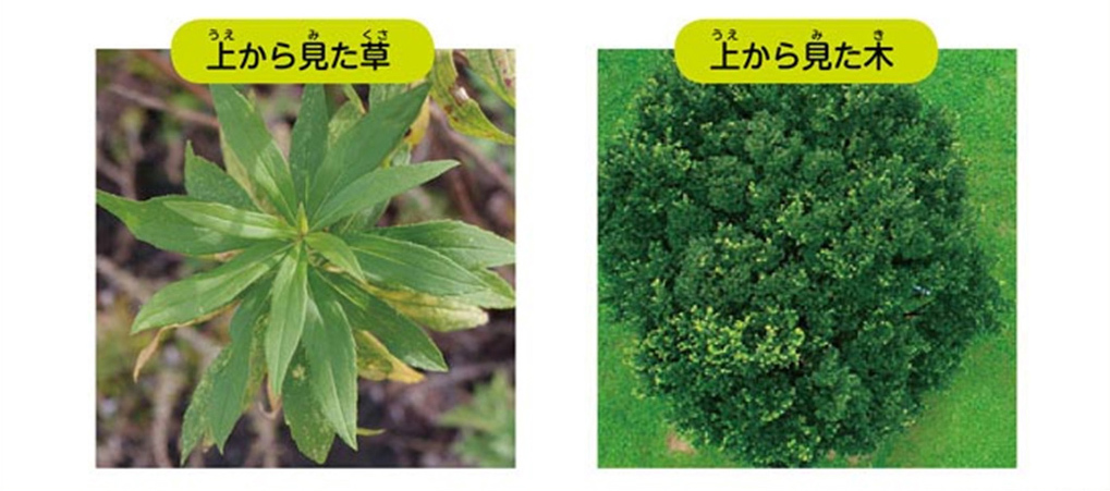 https://matsushita-bungu.co.jp/kyouzai/blog/udata/55720-118.jpg