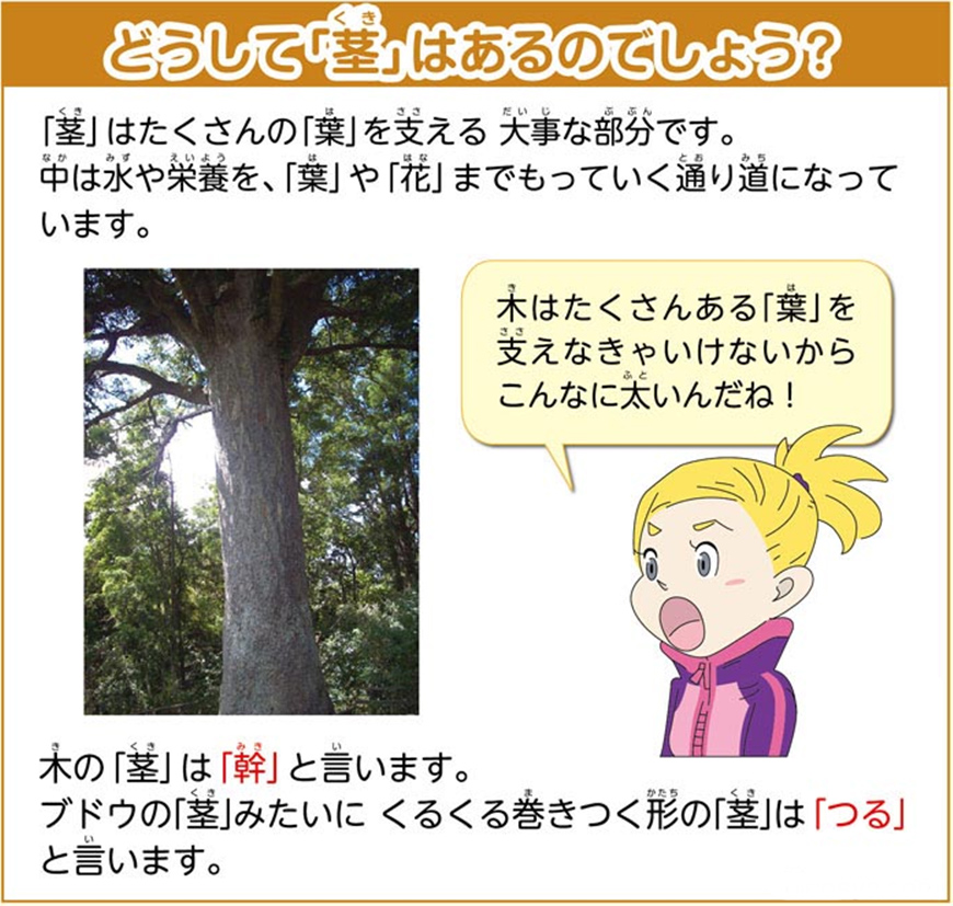 https://matsushita-bungu.co.jp/kyouzai/blog/udata/55720-14.jpg