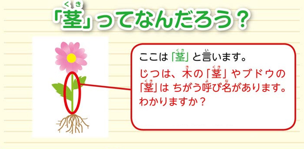 https://matsushita-bungu.co.jp/kyouzai/blog/udata/55720-15.jpg