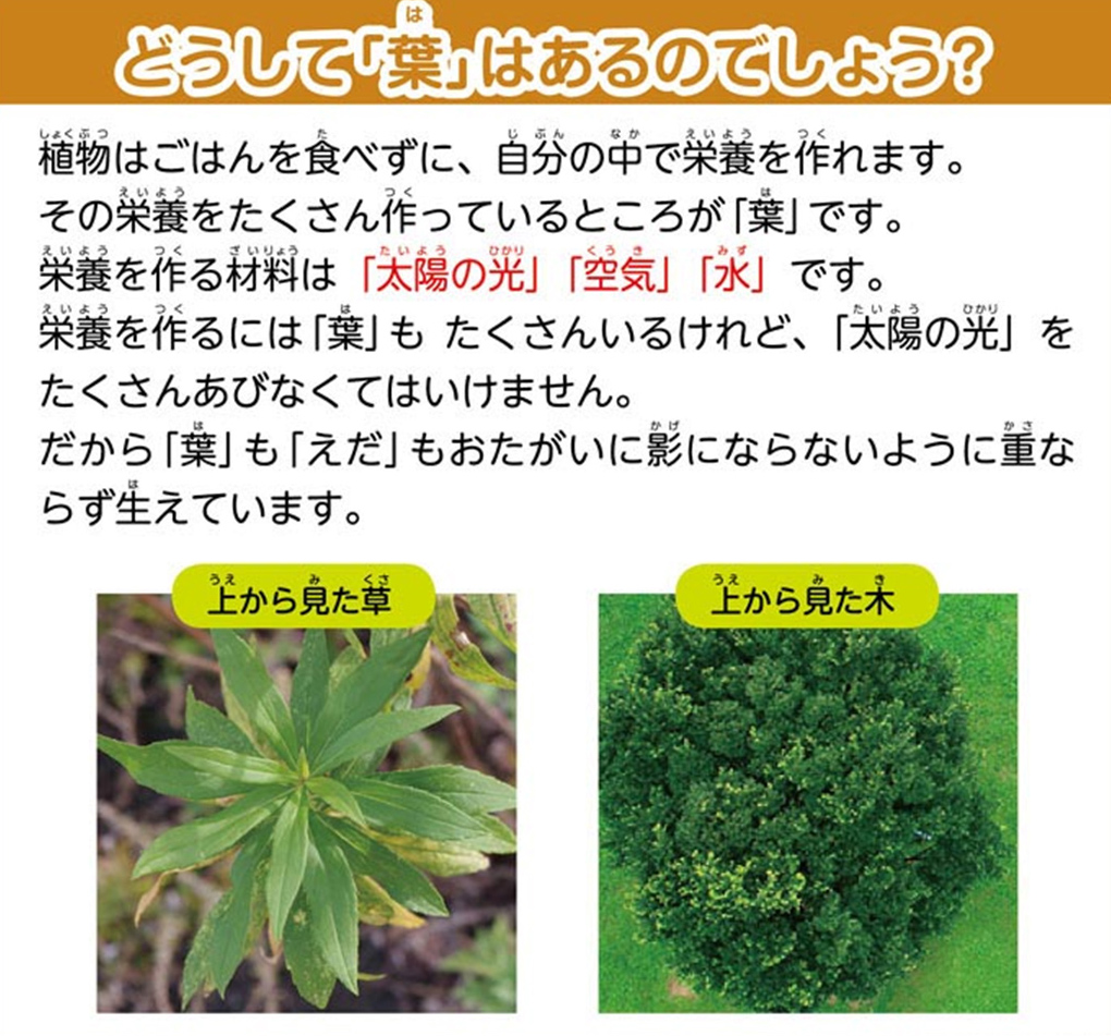https://matsushita-bungu.co.jp/kyouzai/blog/udata/55720-18.jpg