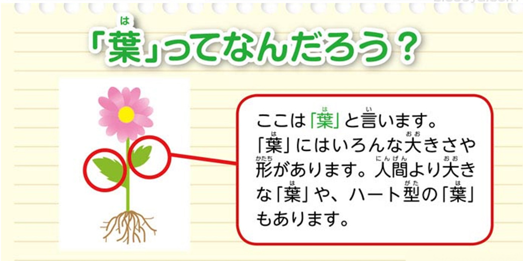 https://matsushita-bungu.co.jp/kyouzai/blog/udata/55720-19.jpg