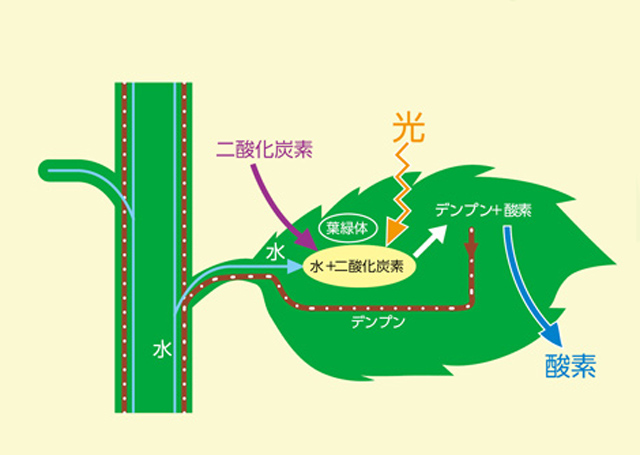 https://matsushita-bungu.co.jp/kyouzai/blog/udata/55720-220.jpg