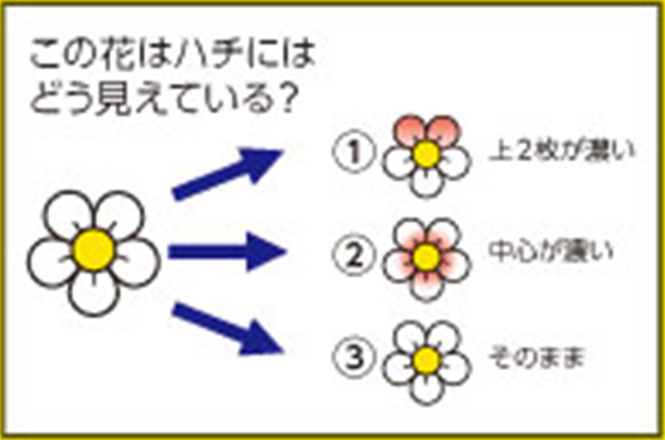 https://matsushita-bungu.co.jp/kyouzai/blog/udata/55720-6.jpg