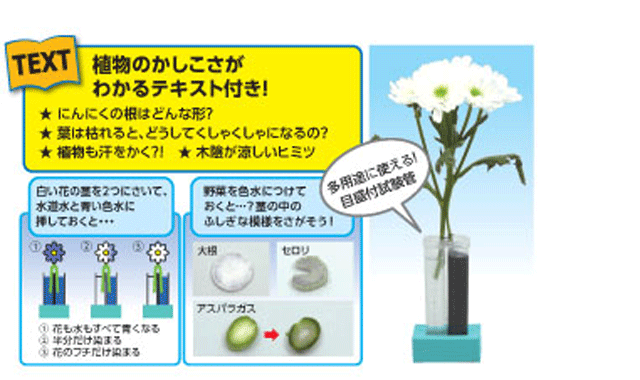 https://matsushita-bungu.co.jp/kyouzai/blog/udata/55724c.gif2.gif