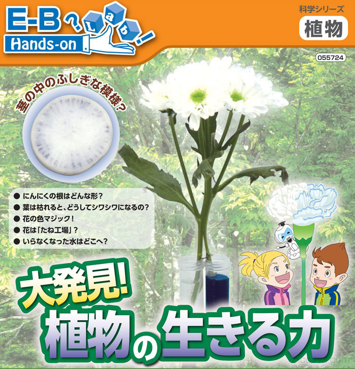https://matsushita-bungu.co.jp/kyouzai/blog/udata/55724f.jpg