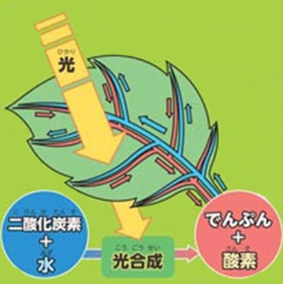 https://matsushita-bungu.co.jp/kyouzai/blog/udata/55726-28.jpg