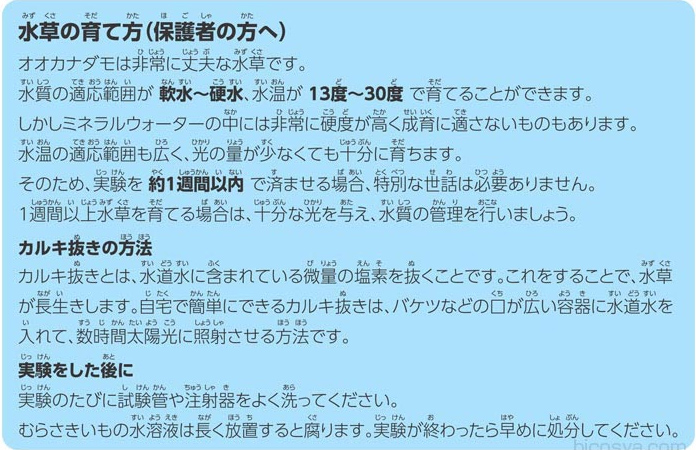 https://matsushita-bungu.co.jp/kyouzai/blog/udata/55726-31.jpg