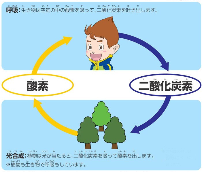 https://matsushita-bungu.co.jp/kyouzai/blog/udata/55726-32.jpg