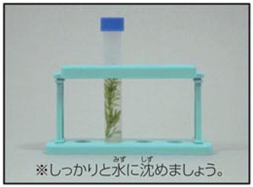 https://matsushita-bungu.co.jp/kyouzai/blog/udata/55726-34.jpg