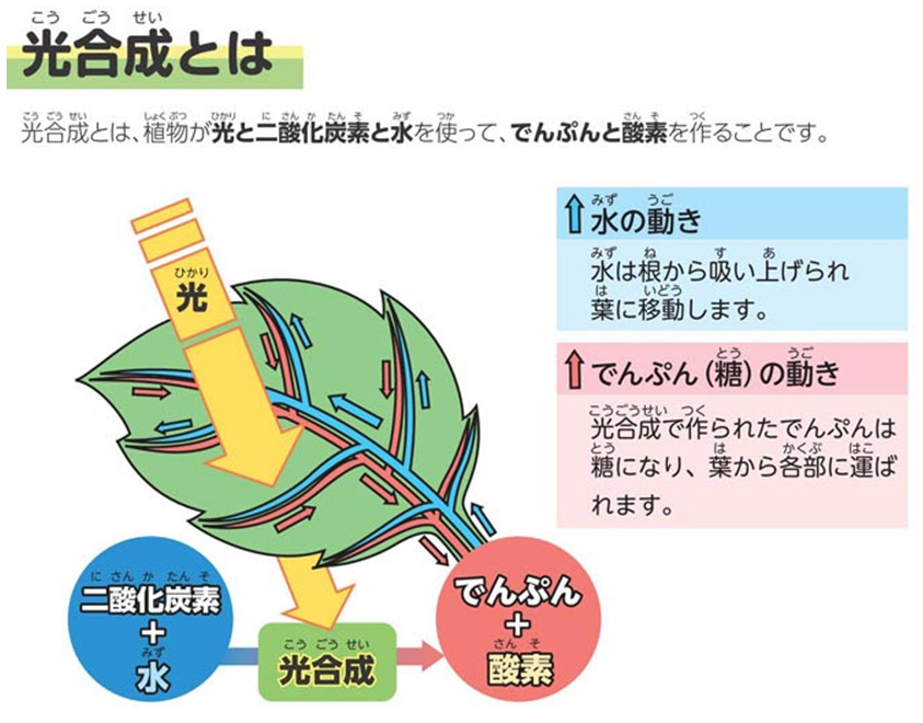 https://matsushita-bungu.co.jp/kyouzai/blog/udata/55726-43.jpg