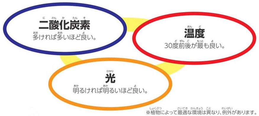 https://matsushita-bungu.co.jp/kyouzai/blog/udata/55726-44.jpg