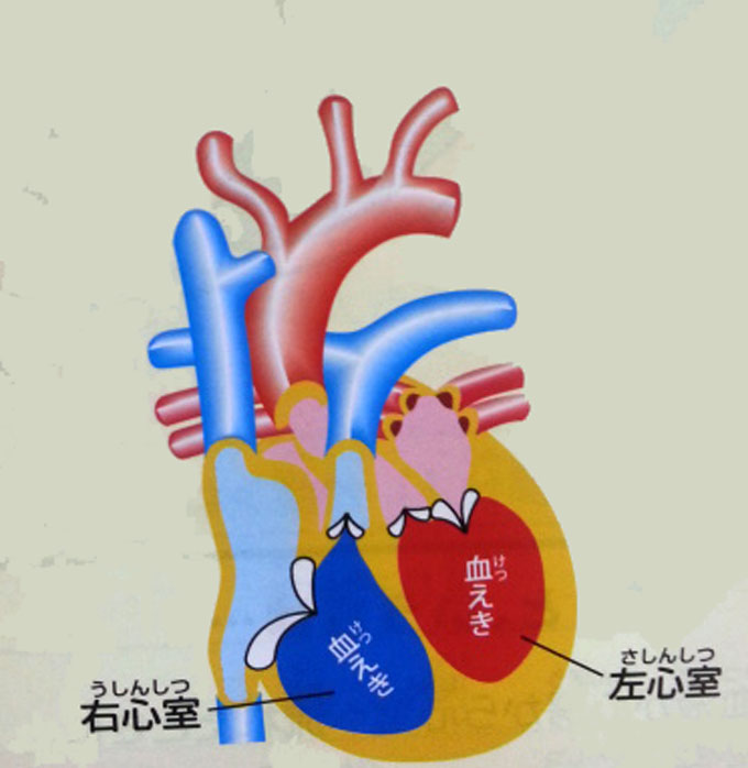 https://matsushita-bungu.co.jp/kyouzai/blog/udata/55731-13.jpg