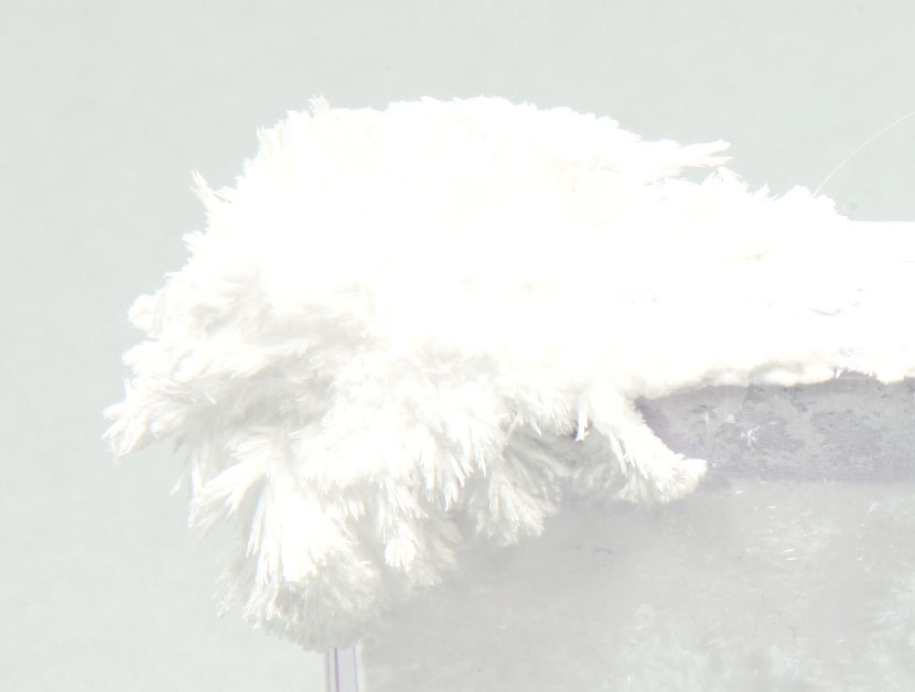 https://matsushita-bungu.co.jp/kyouzai/blog/udata/55736-4.jpg