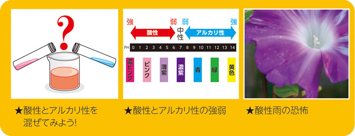 https://matsushita-bungu.co.jp/kyouzai/blog/udata/55743c%5B1%5D.jpg