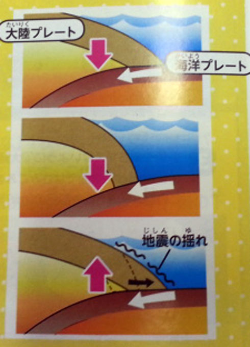 https://matsushita-bungu.co.jp/kyouzai/blog/udata/55755-120.jpg