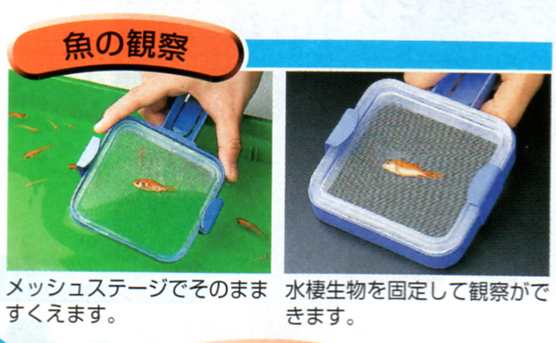 https://matsushita-bungu.co.jp/kyouzai/blog/udata/561-1549-12.jpg